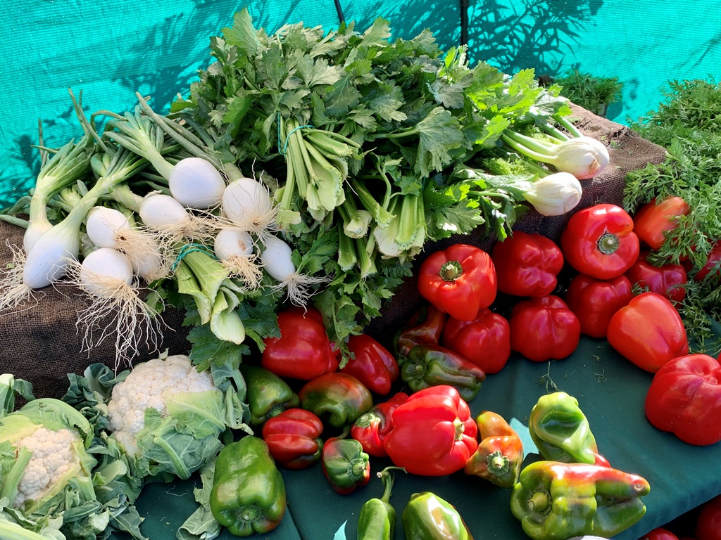 Organic fruits and vegetables Guadalhorce valley, Malaga province