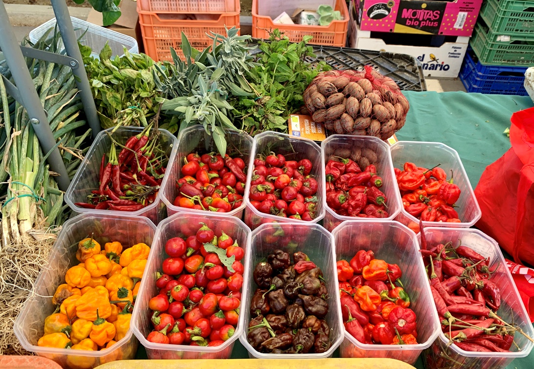 Organic fruits and vegetables Guadalhorce valley, Malaga province